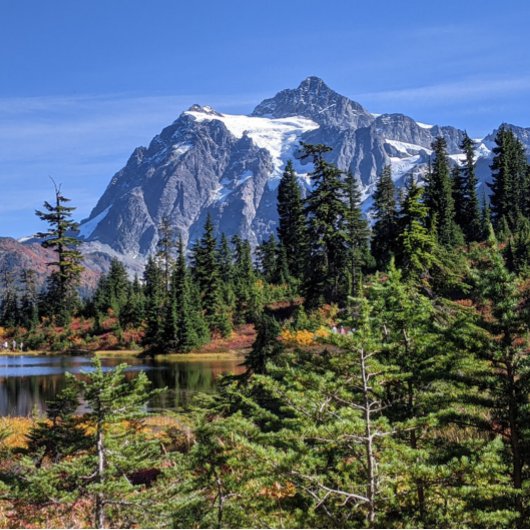山ベーカー、ワシントン秋カラー ポスター