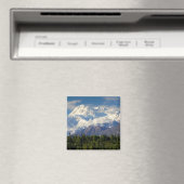 山マッキンリー マグネット (インサイチュ (食洗機))