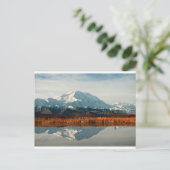 山マッキンリーinデナリNP，アラスカ ポストカード (スタンド正面)