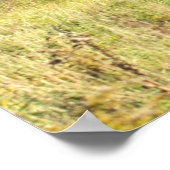 山マンズフィールド,バーモント ポスター (角)