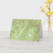 山マーシー地形図 – アディロンドックパーク カード (黄色い花)