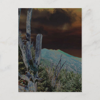 山ミッチェル、ノースカロライナ ポストカード
