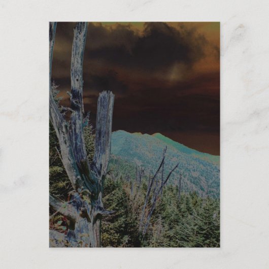 山ミッチェル、ノースカロライナ ポストカード (正面)