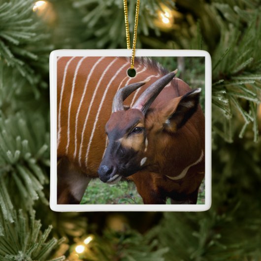 山メリーボンゴアンテロープ！ セラミックオーナメント (ツリー)
