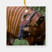 山メリーボンゴアンテロープ！ セラミックオーナメント (正面)