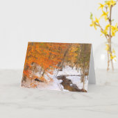 山モナドック森林の小川と雪の葉 カード (黄色い花)