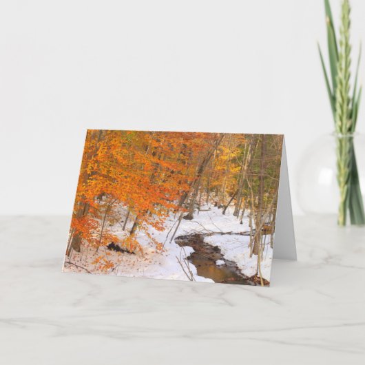 山モナドック森林の小川と雪の葉 カード (正面)