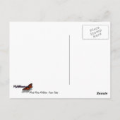 山モランリフレクションアットグランドテトン ポストカード (裏面)