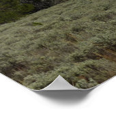 山モラン&クラウドアットグランドテトン ポスター (角)