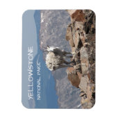 山ヤギ、凍死の高原、イエローストーン マグネット (縦)