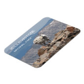 山ヤギ、凍死の高原、イエローストーン マグネット (左側)