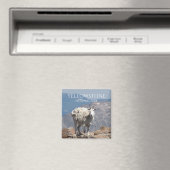 山ヤギ、凍死の高原、イエローストーン マグネット (インサイチュ (食洗機))