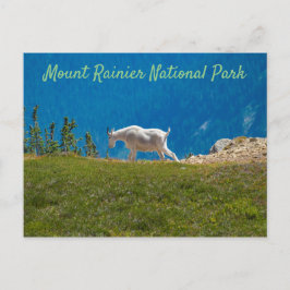 山ヤギatパンハンドルギャップMt. Rainier ポストカード
