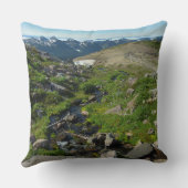 山ライニアパノラマポイント クッション (裏面)