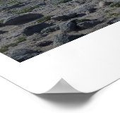 山ライニアパノラマ ポスター (角)