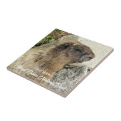 山ライニアーナショナルパークホアリーマルモト タイル (側面)