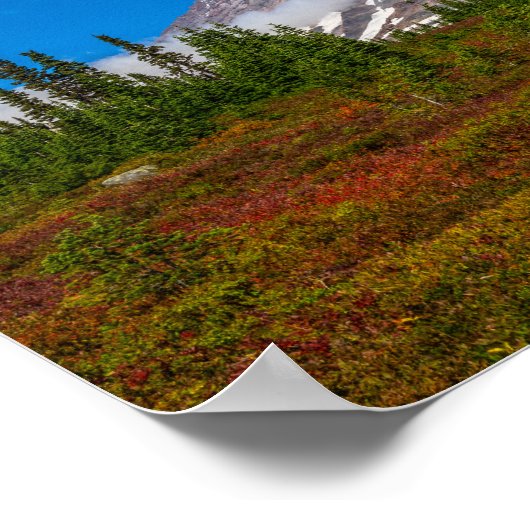 山ライニエのポスター ポスター (角)