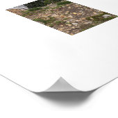 山ライニエースパインランドスケープ写真 ポスター (角)