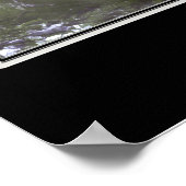 山ライニエールナショナルパークワシントンサテライト ポスター (角)