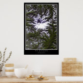 山ライニエールナショナルパークワシントンサテライト ポスター (キッチン)