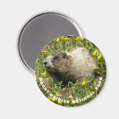 山ライニエ国立公園マルモート写真 マグネット (正面/裏面)