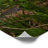 山ライニエ国立公園山ライニエ1 ポスター (角)