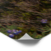 山ライニエ国立公園山ライニエ3 ポスター (角)