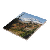 山ライニエ国立公園 タイル (側面)