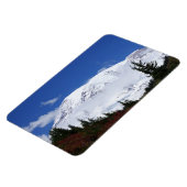 山ライニエ磁石 マグネット (左側)