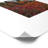 山ライニエ紅葉写真ポスター ポスター (角)