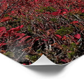 山ライニエ紅葉写真光沢 ポスター (コーナー)