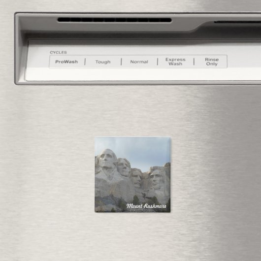 山ラシュモア角磁石 マグネット (インサイチュ (食洗機))