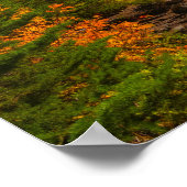 山レイナースプレーパーク秋 ポスター (角)