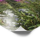 山レイニアとワイルドフラワーズシーニックランドスケープ フォトプリント            (角)