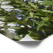 山レイニアとワイルドフラワーフォト光沢 ポスター (コーナー)