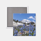 山レイニアアットパラダイスポイント マグネット (正面/裏面)