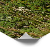 山レイニアレイクリフレクションとワイルドフラワー ポスター (角)