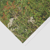 山レイニアレイクリフレクションとワイルドフラワー 薄葉紙 (詳細)