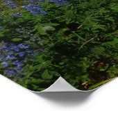 山レイニア、ワイルドフラワーと雪 ポスター (角)