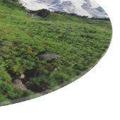 山レイニア、滝、雪に覆われた カッティングボード (角)