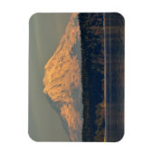 山レイニエとケース入り口アットデュスク マグネット (縦)