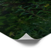 山レイニエールリフレクトサンライズII ポスター (角)