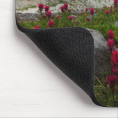 山レイニエ国立公園，山レイニエ1 マウスパッド (コーナー)