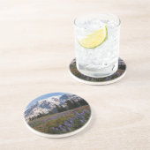 山レイニエ国立公園，山レイニエ3 コースター (側面)