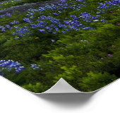 山レイニエ ポスター (角)