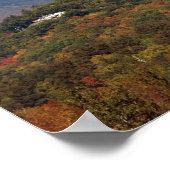 山ワシントンNHプリント ポスター (角)