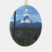 山ワシントンOR セラミックオーナメント (右)