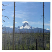 山ワシントンOR タイル (正面)