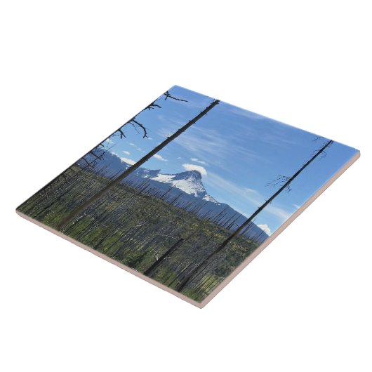 山ワシントンOR タイル (側面)