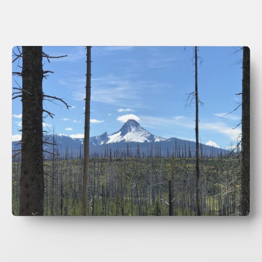 山ワシントンOR フォトプラーク (正面)